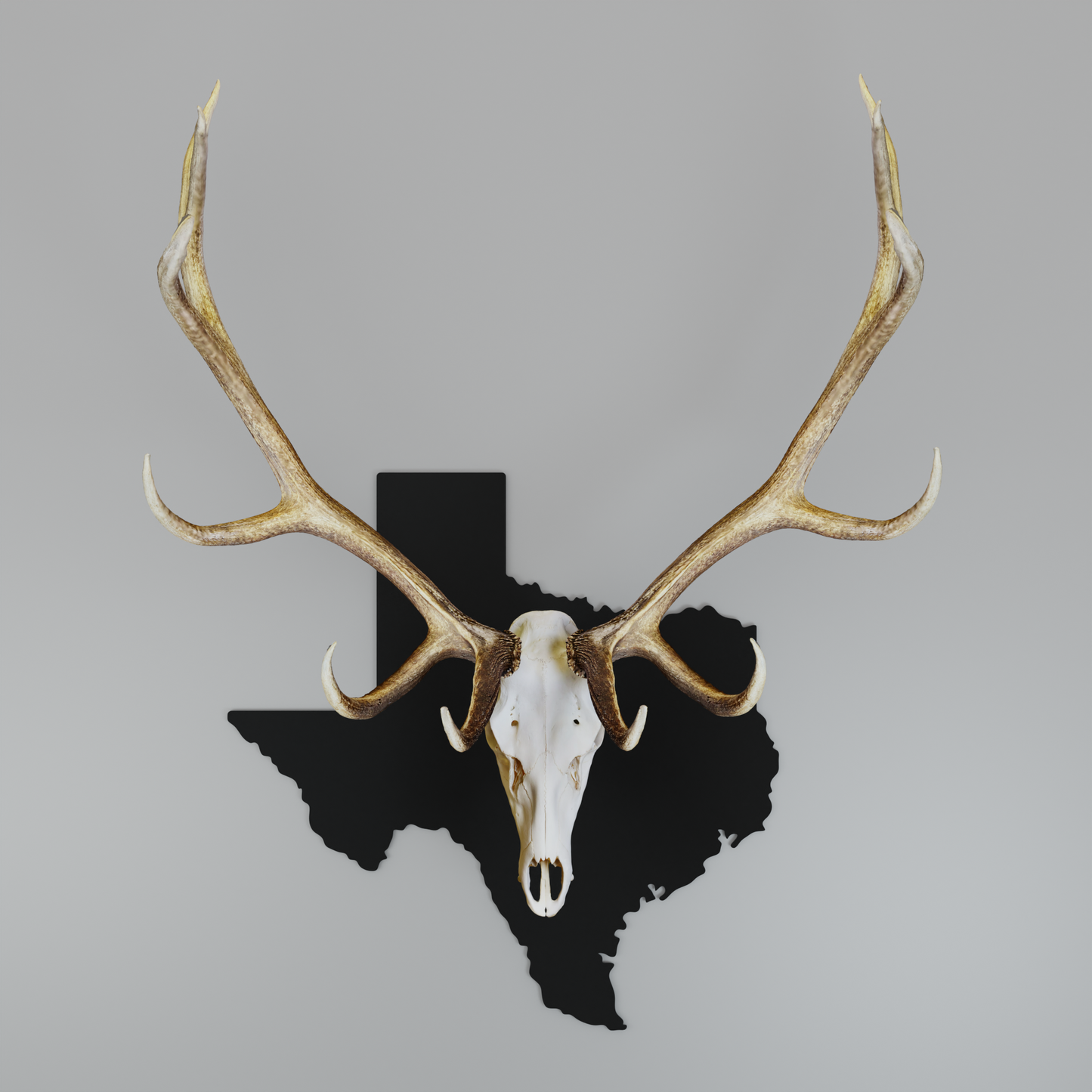 Texas Solid