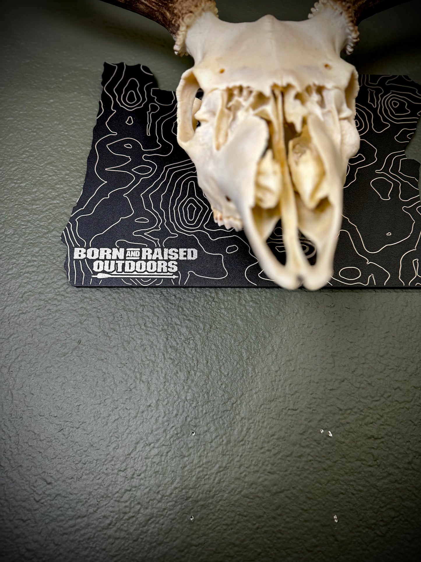 Oregon Solid State Outline European Mount Plaque (Medium Game)