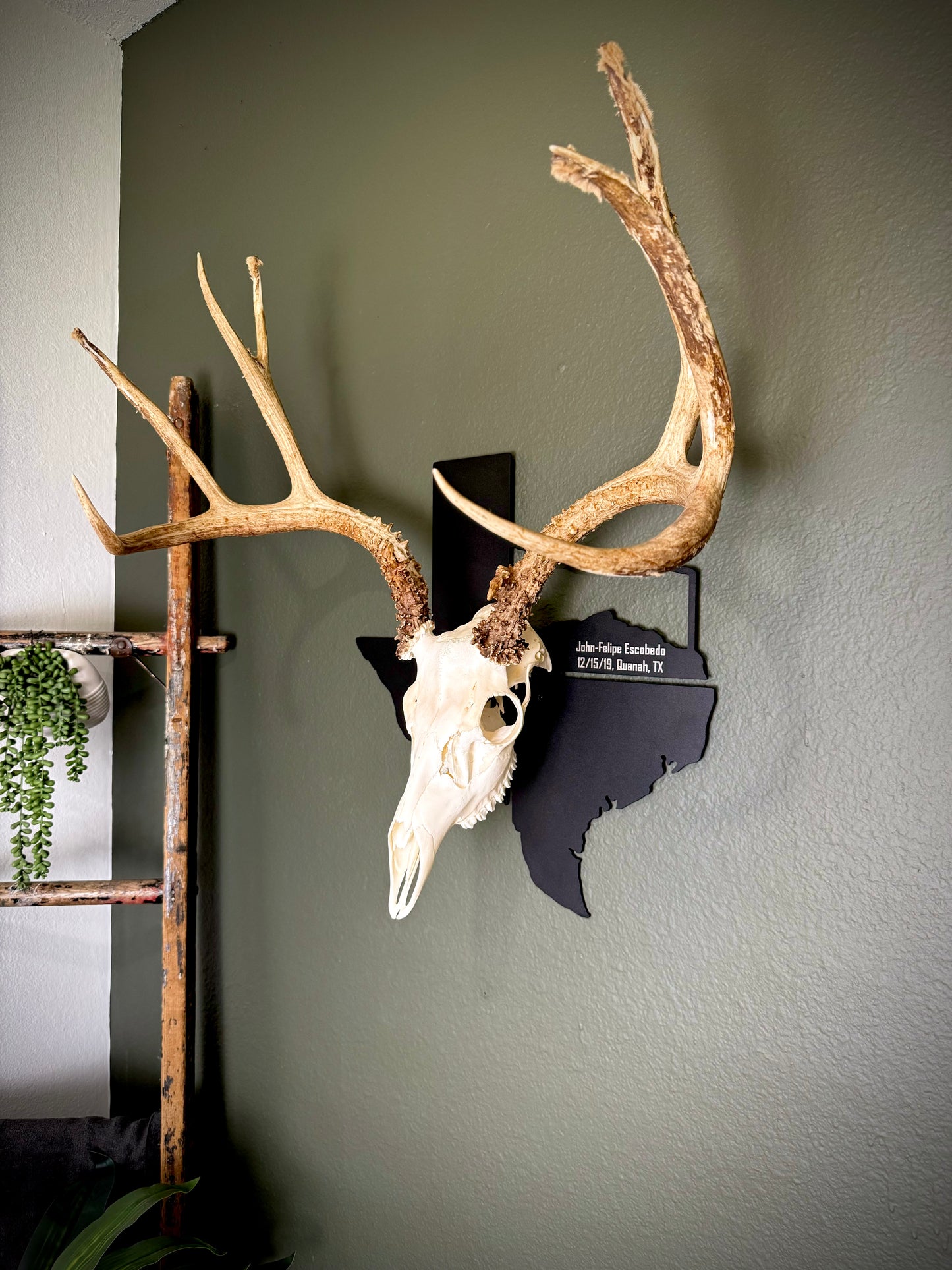 Texas Solid Mount State Outline European Mount Plaque (Medium Game)