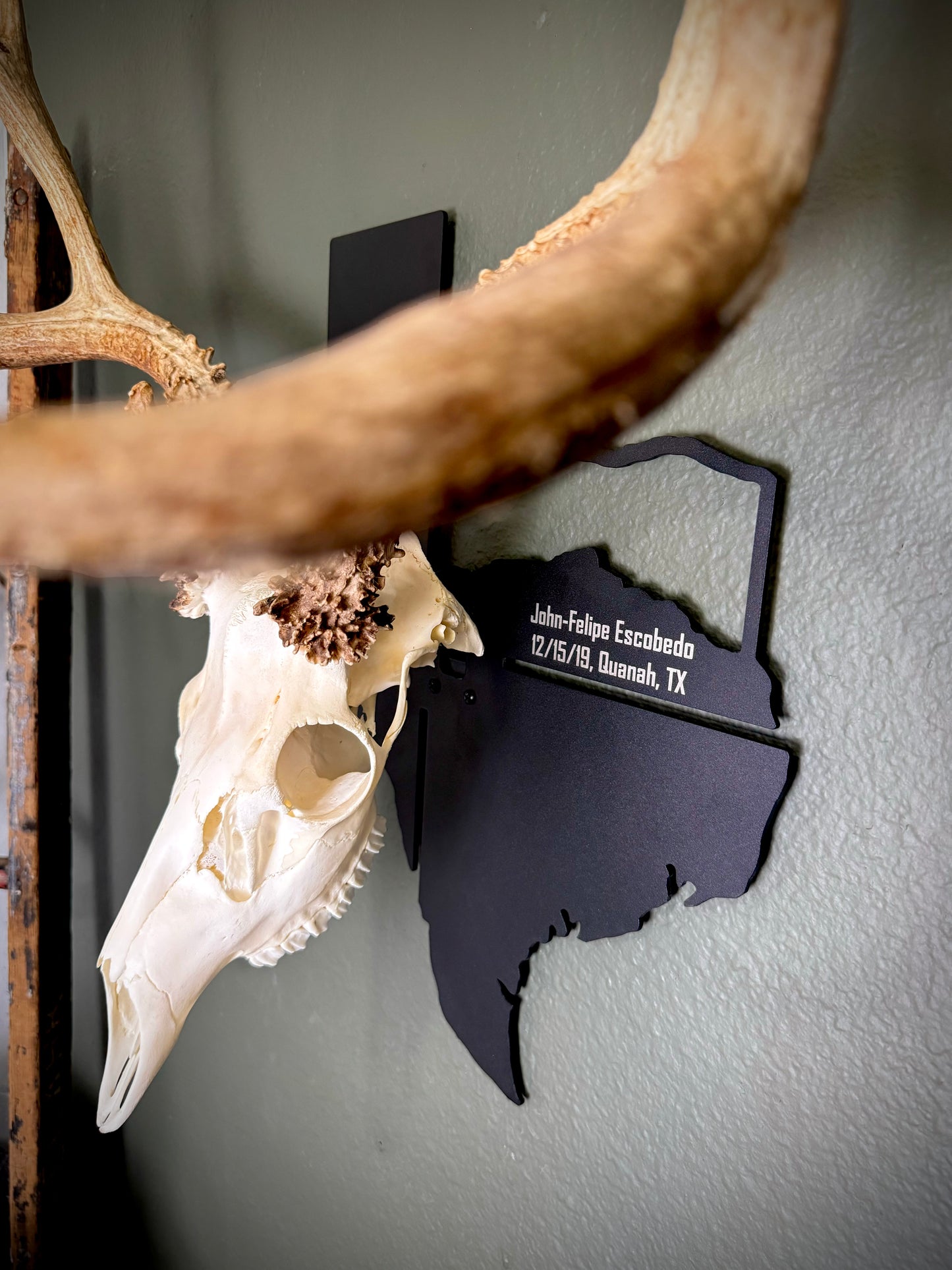 Texas Solid Mount State Outline European Mount Plaque (Medium Game)