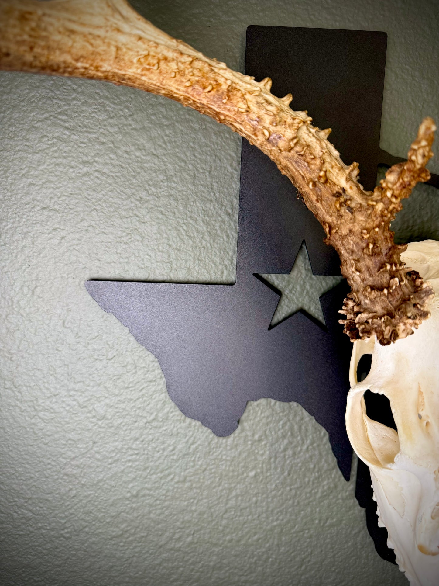 Texas Solid Mount State Outline European Mount Plaque (Medium Game)