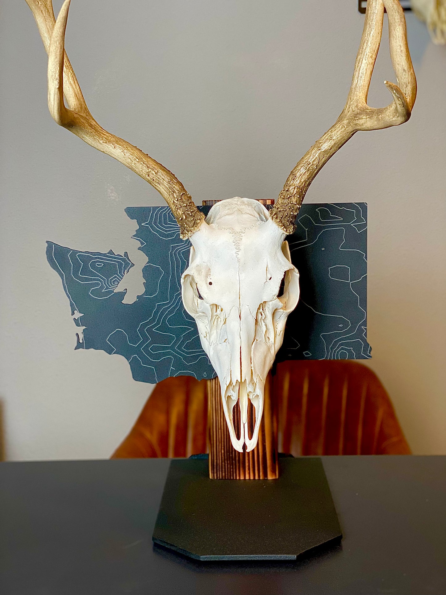 Washington Solid State Outline European Mount Plaque (Medium Game)