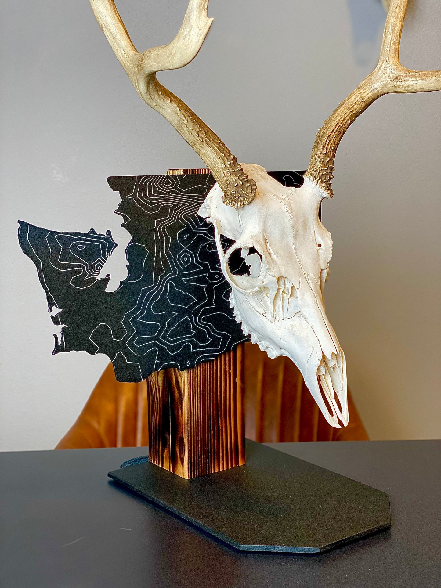 Washington Solid State Outline European Mount Plaque (Medium Game)