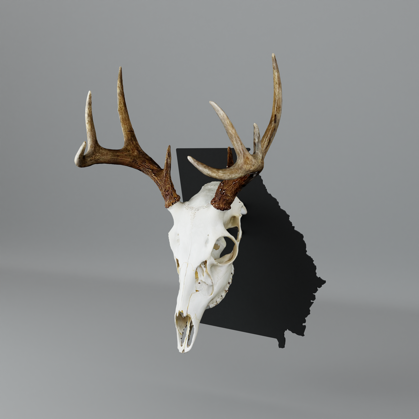 Georgia Solid State Outline European Mount Plaque (Medium Game)