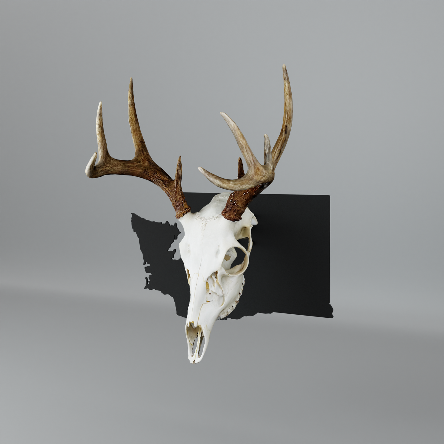 Washington Solid State Outline European Mount Plaque (Medium Game)