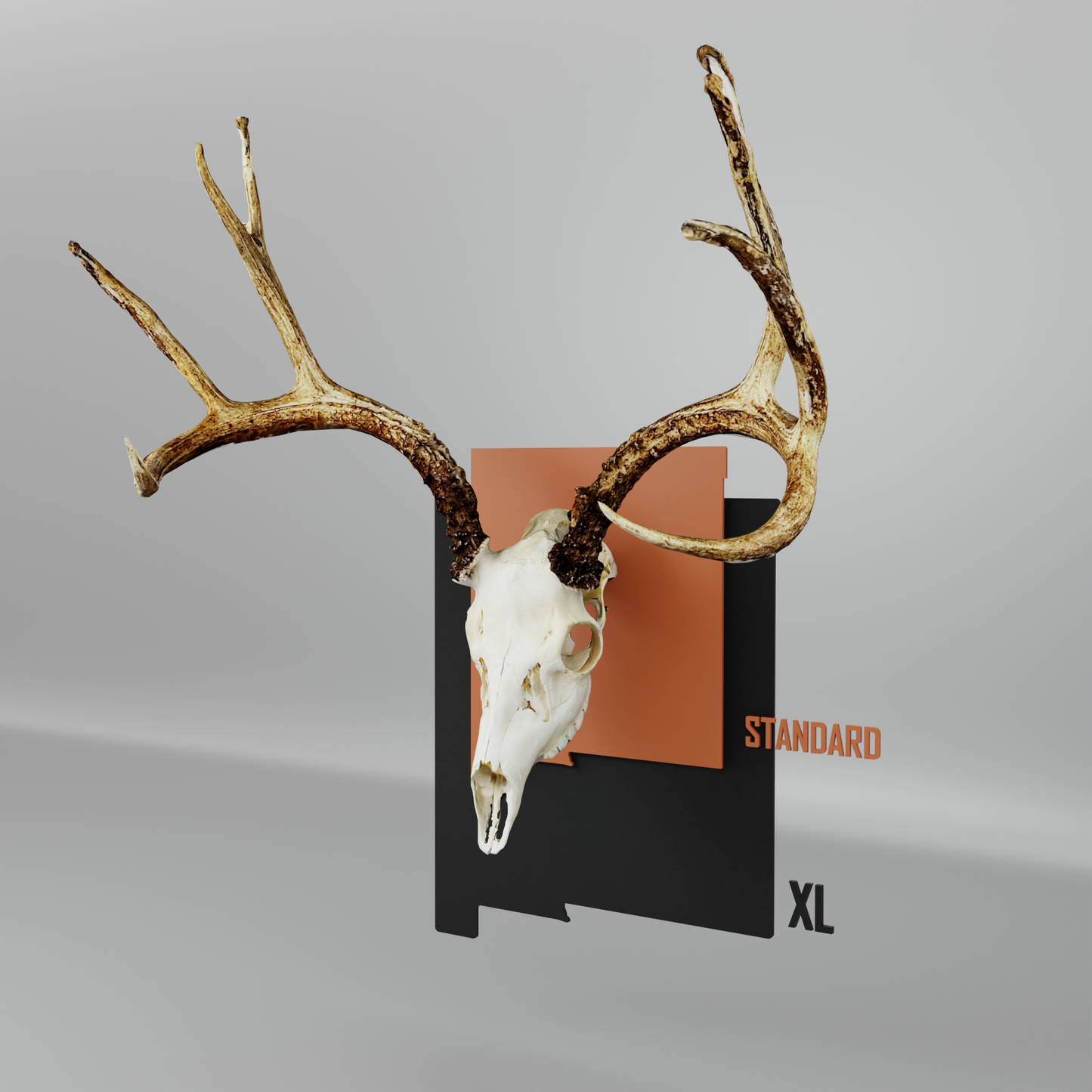 New Mexico Solid Mount State Outline European Mount Plaque (Medium Game)