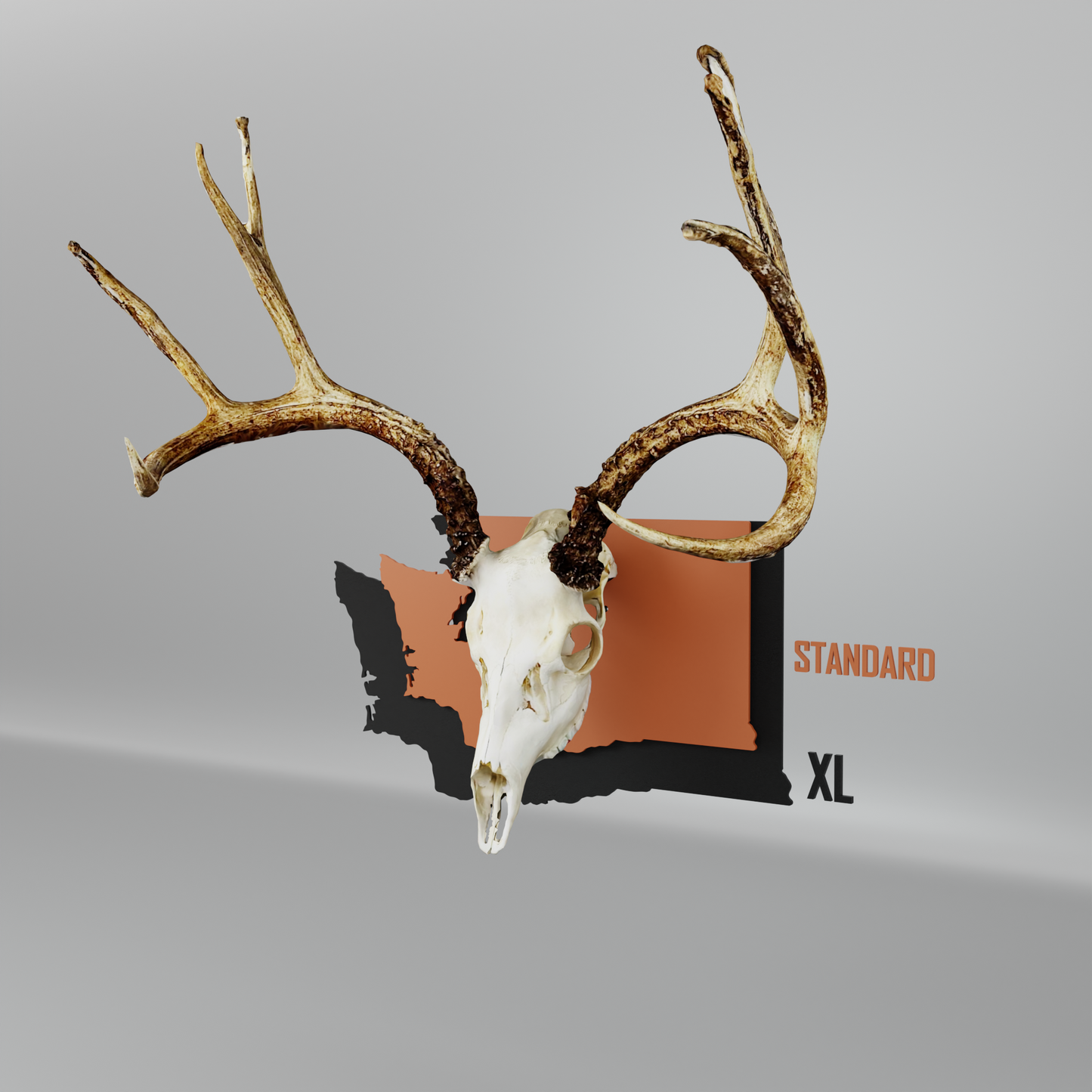 Washington Solid State Outline European Mount Plaque (Medium Game)