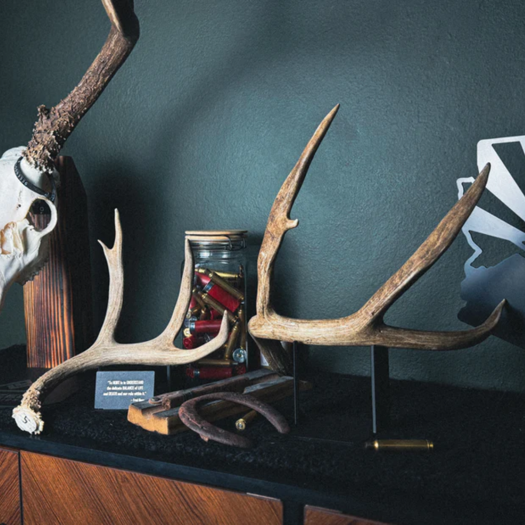 Antler Stand