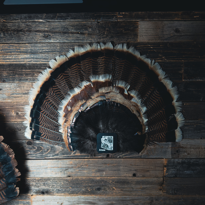 FeatherLok | Mini