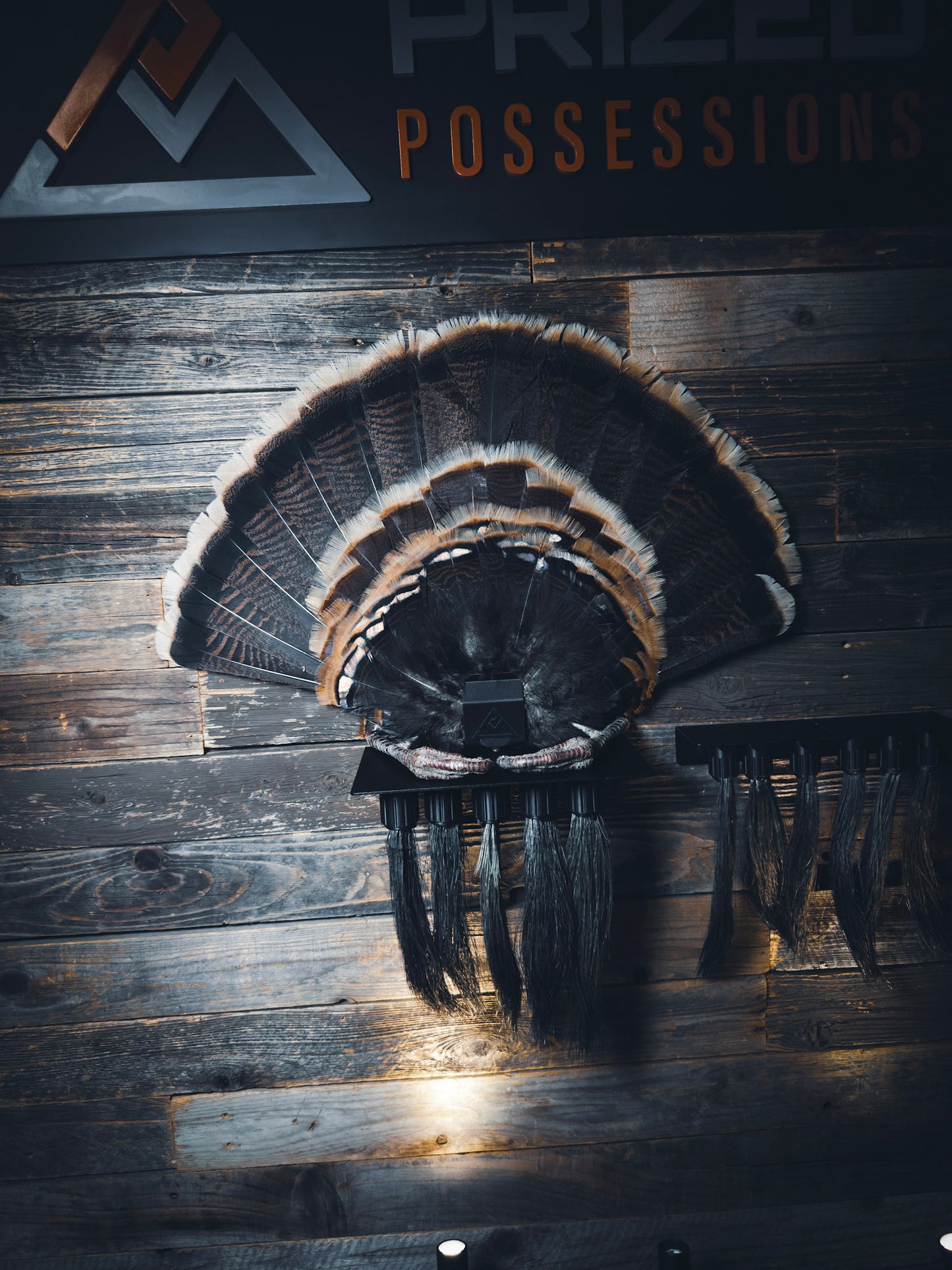 Beard Shelf