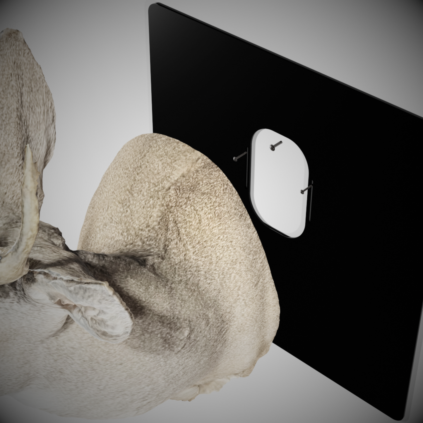 Shoulder Mount Plaques