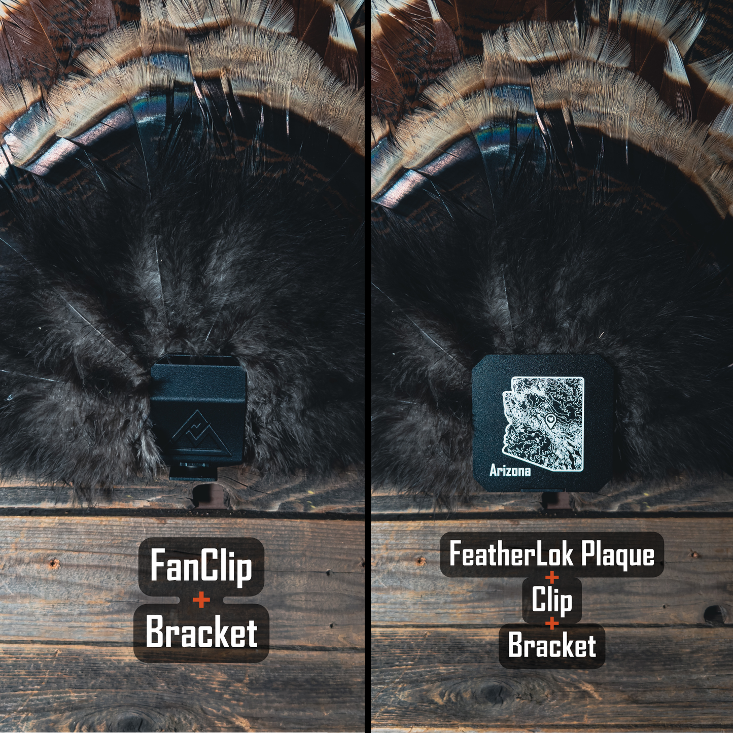 FeatherLok | Mini