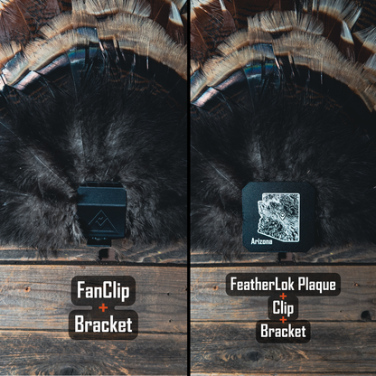 FeatherLok | Mini