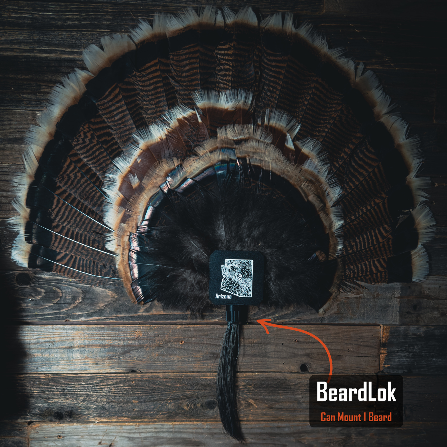 FeatherLok | Mini