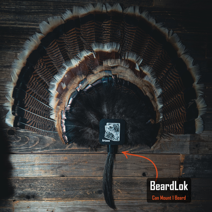 FeatherLok | Mini