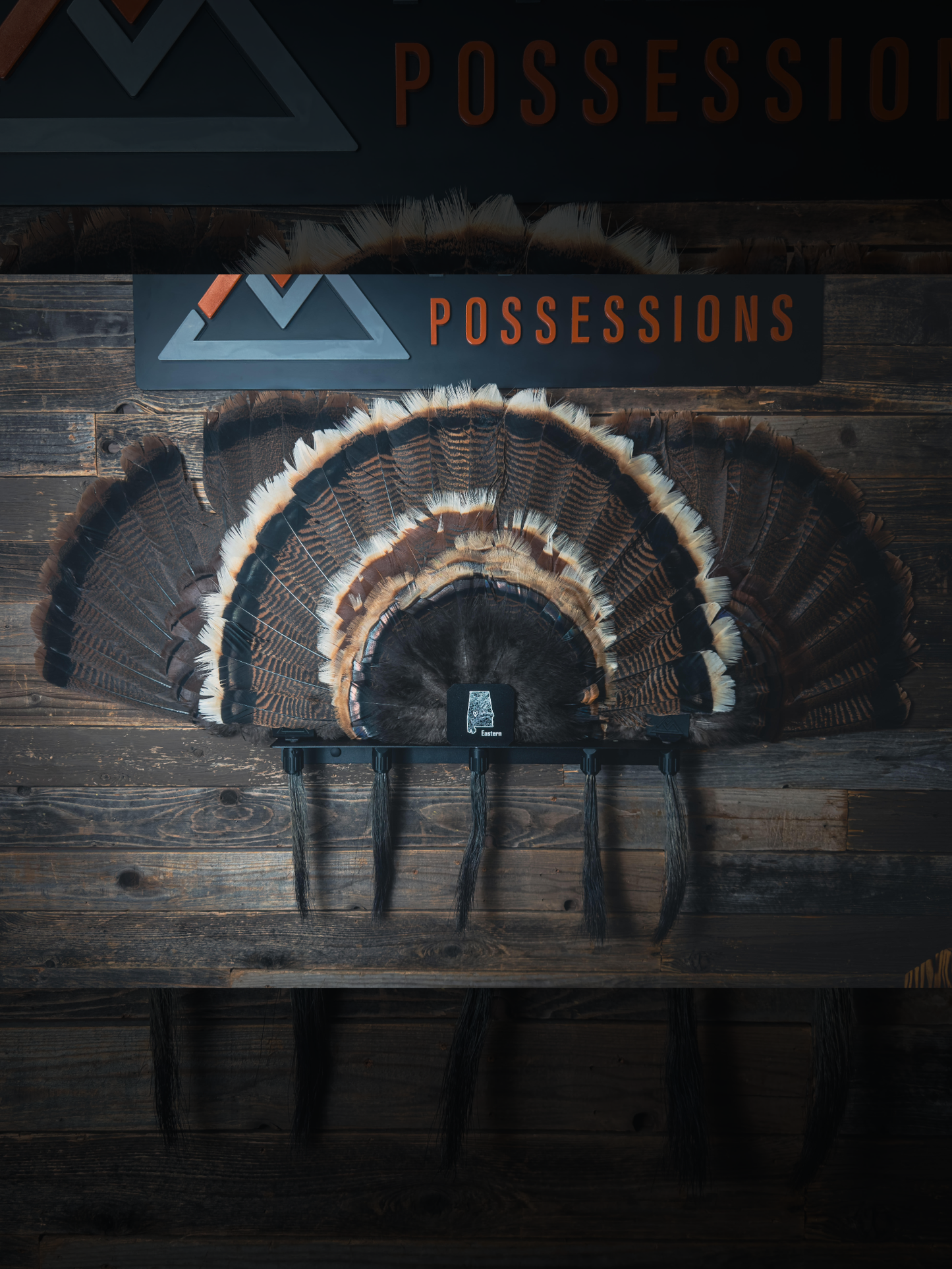 Beard Shelf | Turkey Beard/Leg/Fan System