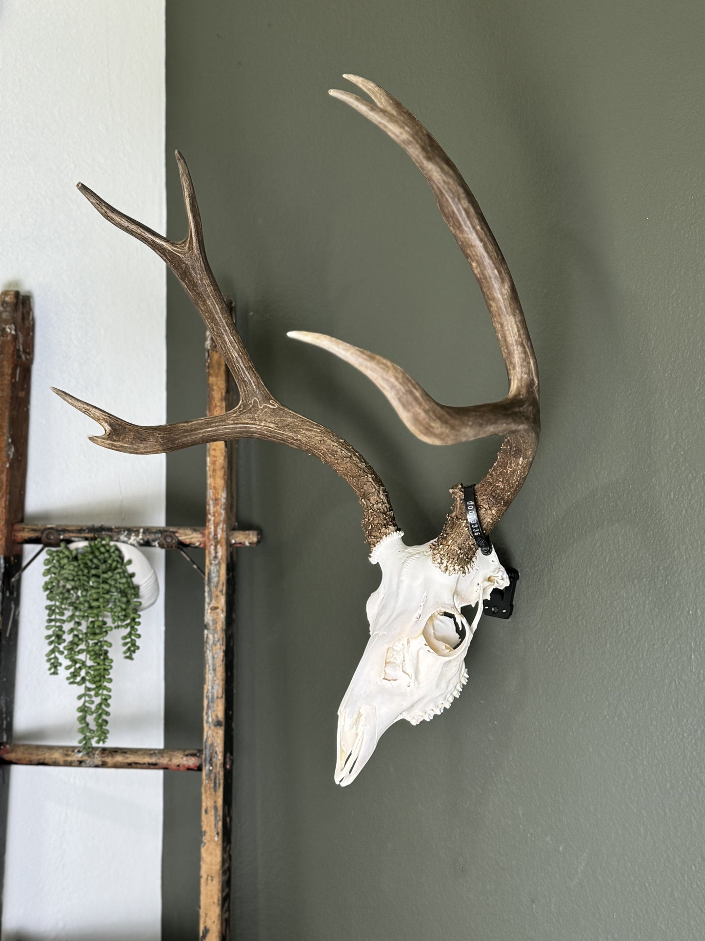 Modular Hook Deer/Medium Game