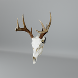 Modular Hook Deer/Medium Game