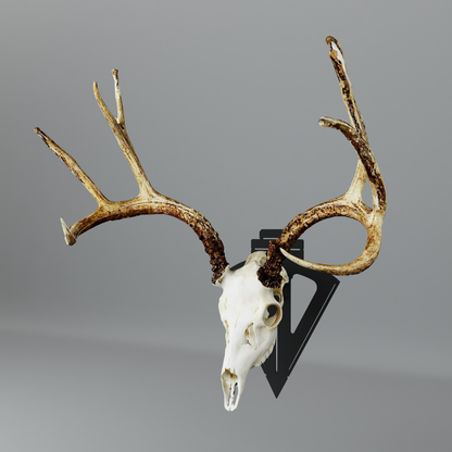 Broadhead Mount