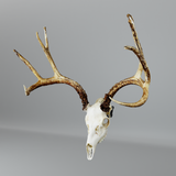 Modular Hook Deer/Medium Game