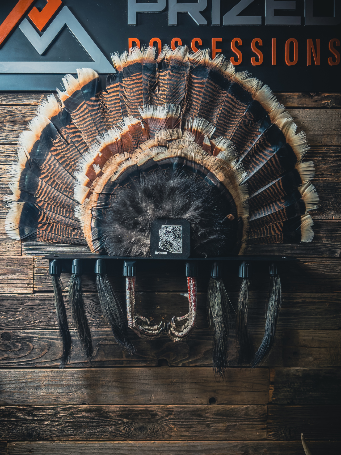 Beard Shelf | Turkey Beard/Leg/Fan System