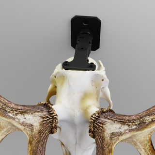 Support Plate